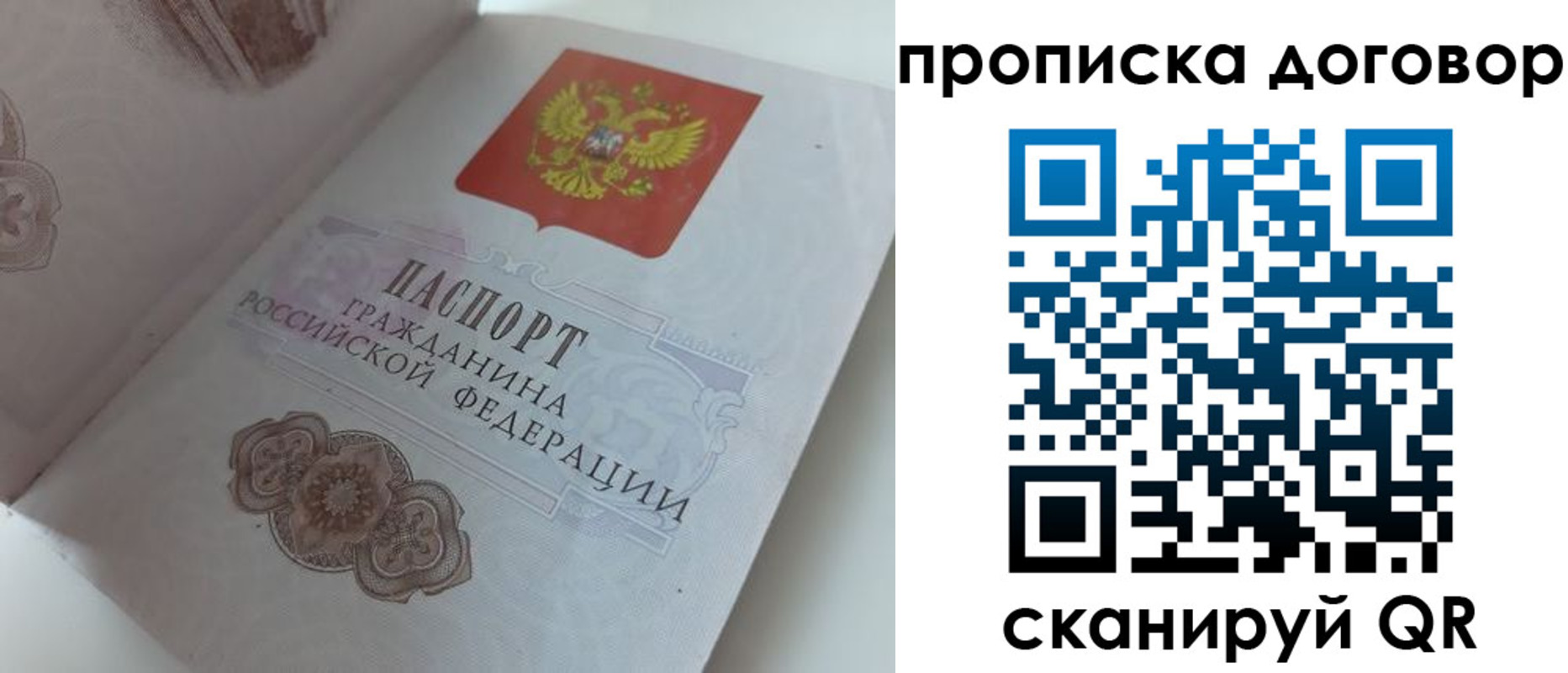прописка поиск в Гвардейске